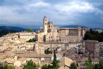 Urbino-PU